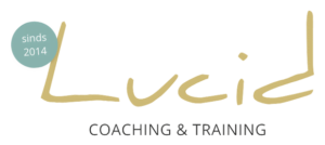 Lucid Consultancy logo retina 1