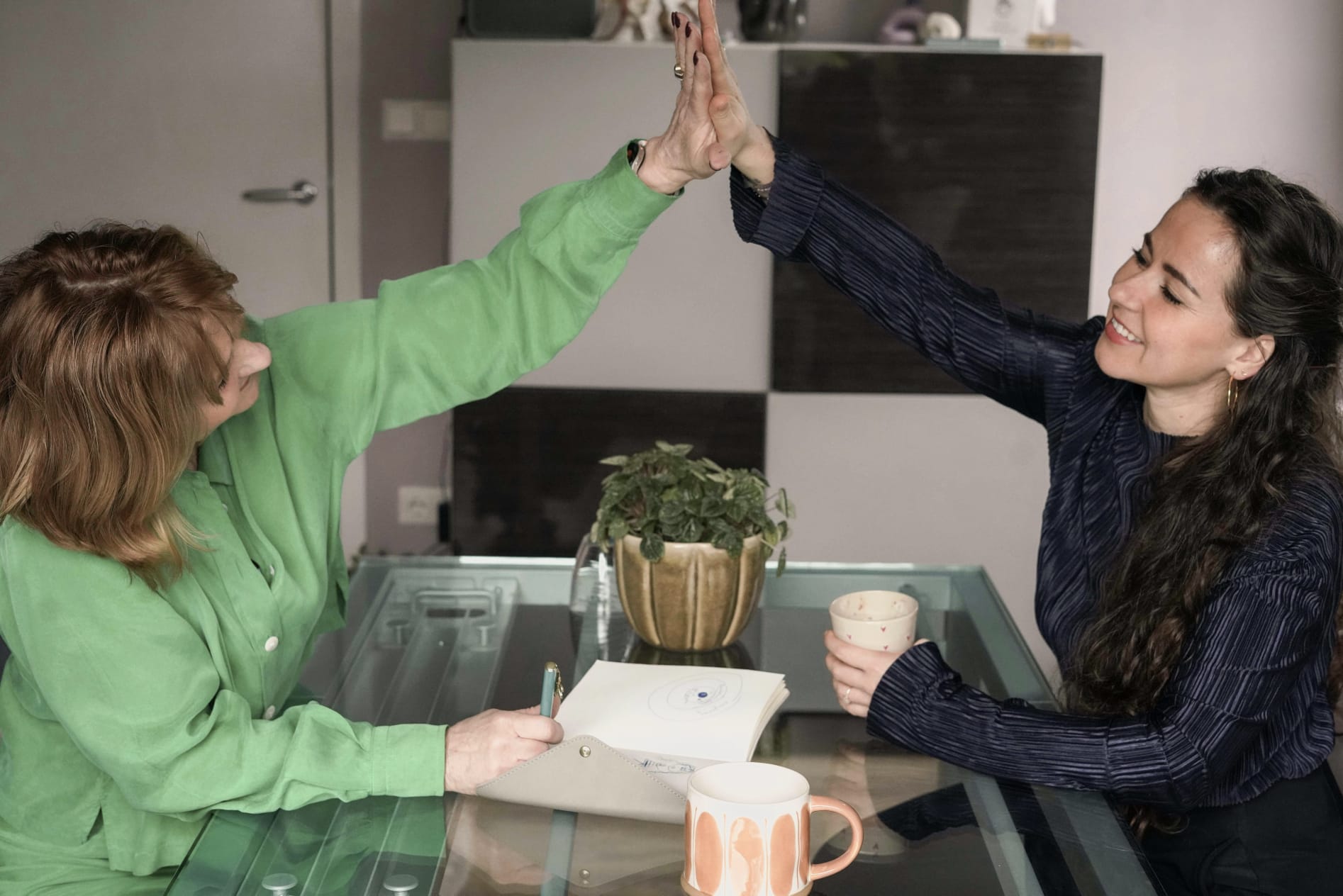 WhatsApp Image 2026 02 12 at 16.11.18